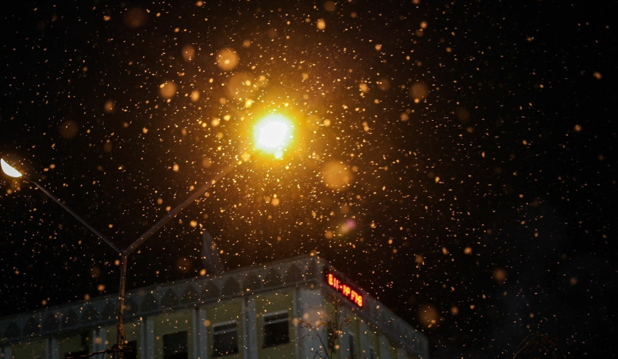 Пока в Якутии была ночь: крупный астероид, реакция на замедление Telegram и Иисус Христос