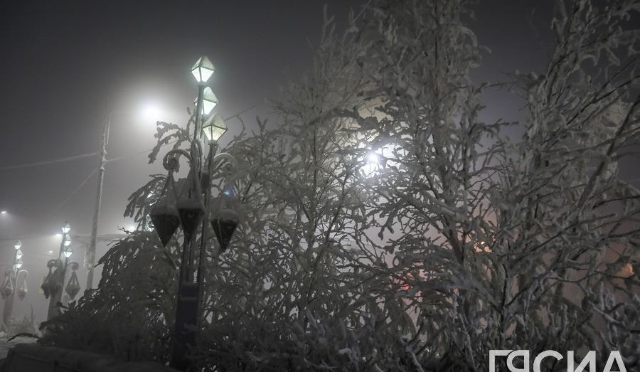 Пока в Якутии была ночь: взрыв в Москве, награды для дворника, борщевик-«иноагент»