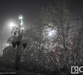 Пока в Якутии была ночь: взрыв в Москве, награды для дворника, борщевик-«иноагент»