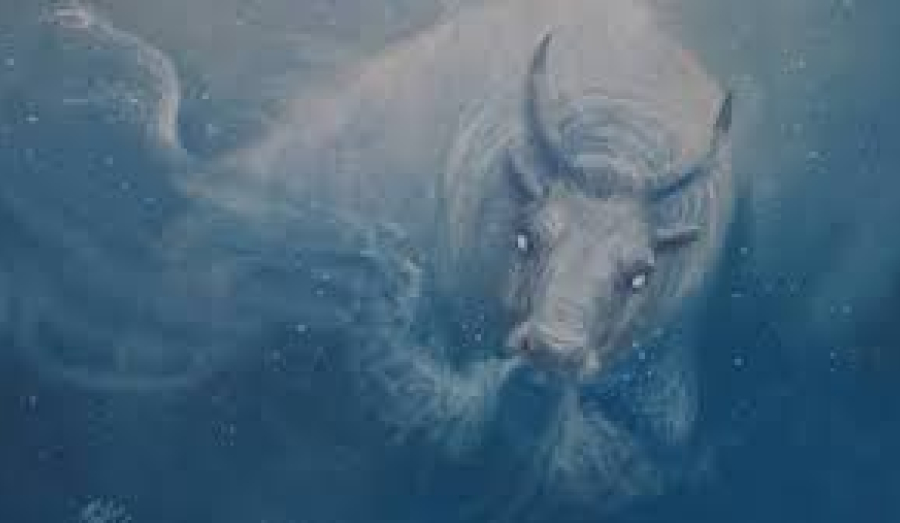 Второй рог отломился 24 февраля у Быка холода